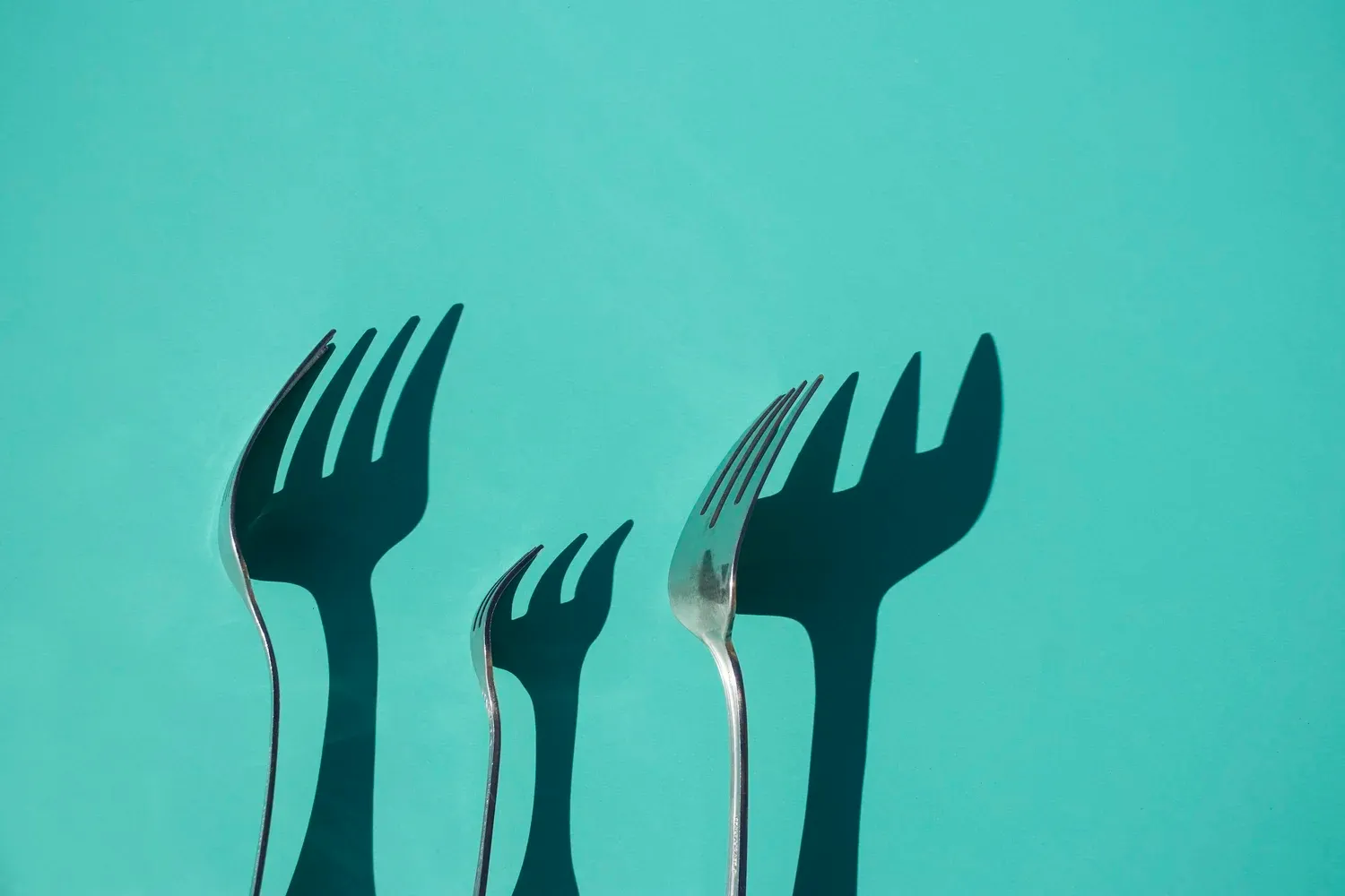 Why There's No Perfect Diet for Everyone (and Why Fad Diets Suck)
